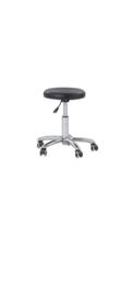 Stainless Steel Revolving Seat