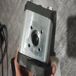 Rexroth Industrial Gear Pump