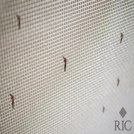 RIC Fiberglass Mosquito Screen, Residential Roll