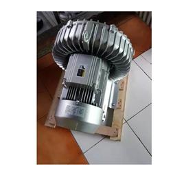 Ring Turbine Blower