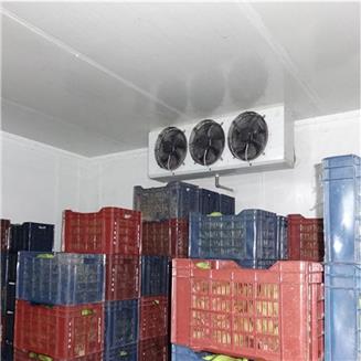 Ripening Chamber Ahata 15X10X10 FT3