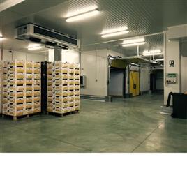 Airtech Ripening Chambers