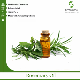 Pure Rosemary Oil