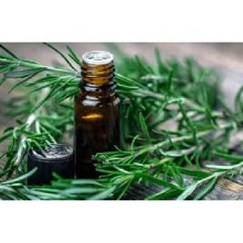 Rosemary Essential Oil
