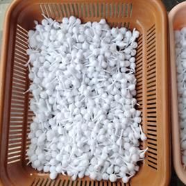 Cotton Wicks for Lamps