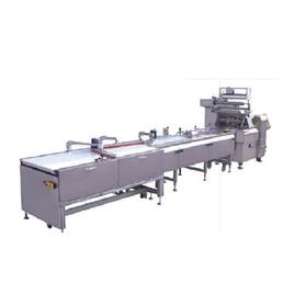 Rusk Pouch Packer Machine