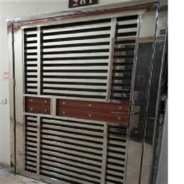 Security Stainless Main Door