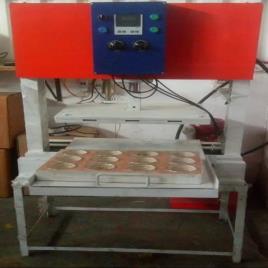 Mild Steel Hydraulic Scrubber Press