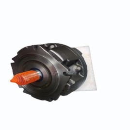 Sai Polished Hydraulic Motor
