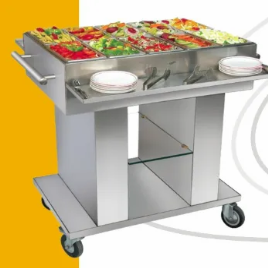 Salad Display Unit