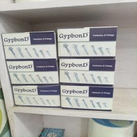 Standard Steel Screw