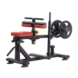 Seated Calf Exercise Machine H-029