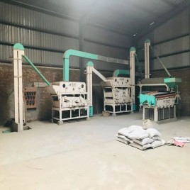 Industrial Seed Processing Equipment