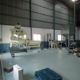 Industrial Seed Grader Plant