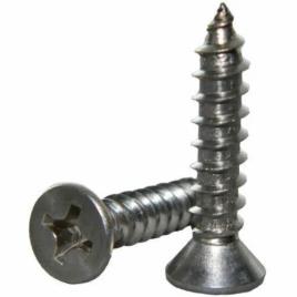 Corrosion Resistant Steel Self Threading Screw