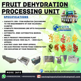 Semi-Automatic Fruit Dehydrator Plant