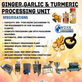 Semi-Automatic Ginger, Garlic, Turmeric Hammer Mill