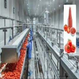 Semi-Automatic Ketchup Paste Jam Jelly Line, 500 kg/hr