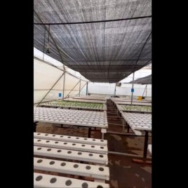 Semi-Automatic Polypropylene Hydrophonics - 5 Ft-4 Tubes