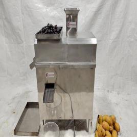 Single Phase Mango Pulp Maker