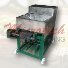 Semi-Automatic Amla Pulper Machine