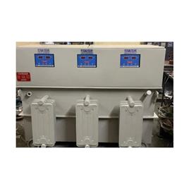 Digital Servo Voltage Regulator