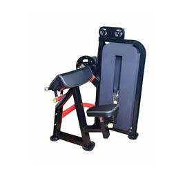 Iron Body Shoulder Press Machine