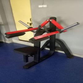 Free Weight Side Lateral Raise Machine