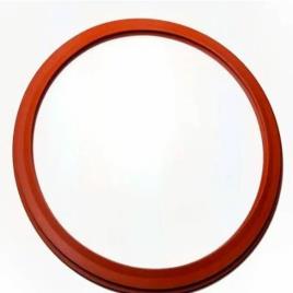 Autoclave Silicone Seal, 2mm Thickness
