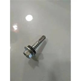 Silver Drilling Screw