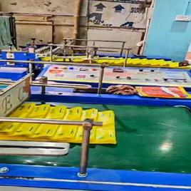 Servo Sealing Cutting Machine with Conveyor