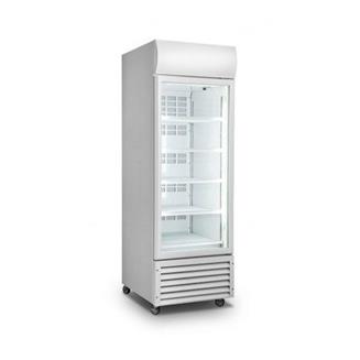 300 Ltrs Single Door Upright Cooler