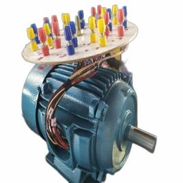 Single Phase Dual Speed Induction Motor, 0-100 HP