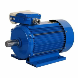 Single Phase Electric Motor 0.5 HP