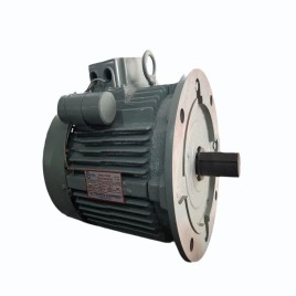 3 HP Single Phase Flange Motor