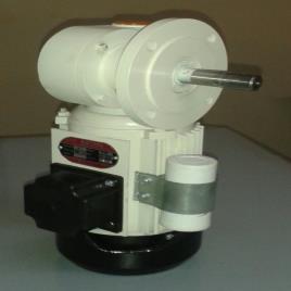 Single Phase Worm Gear Motor