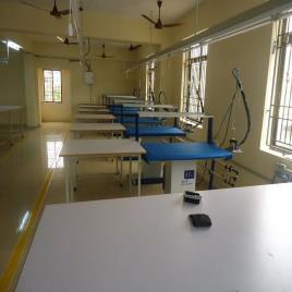 VIP BLUE Garment Steam Generator