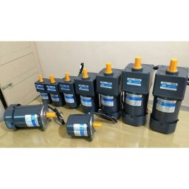 ZD AC Gear Motor