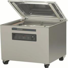 Single Chamber Vacuum Packaging Machine, 40 Kg