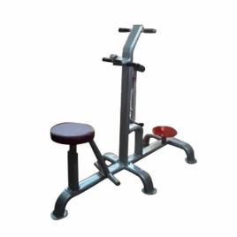 S.K Sports Double Twister Exerciser Gym Machine