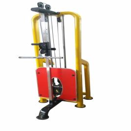 Sports Standing Biceps Tryceps Machine
