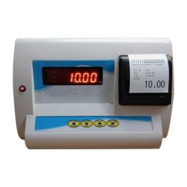 Single Phase Slip Printing Indicator