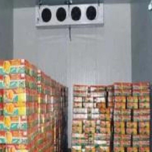 5 MT Fruit Storage Chamber