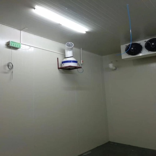 Automatic Solar Fruit Ripening Machine