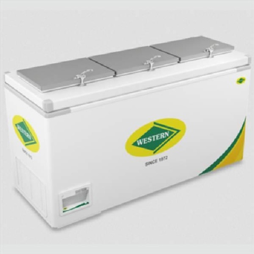 Chest Cooler 425 Liter