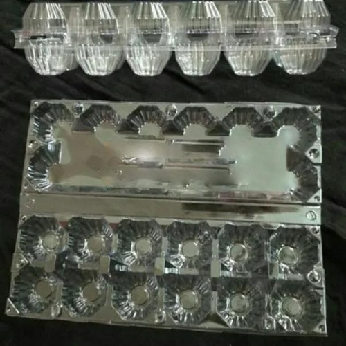Commercial Pet Egg Box