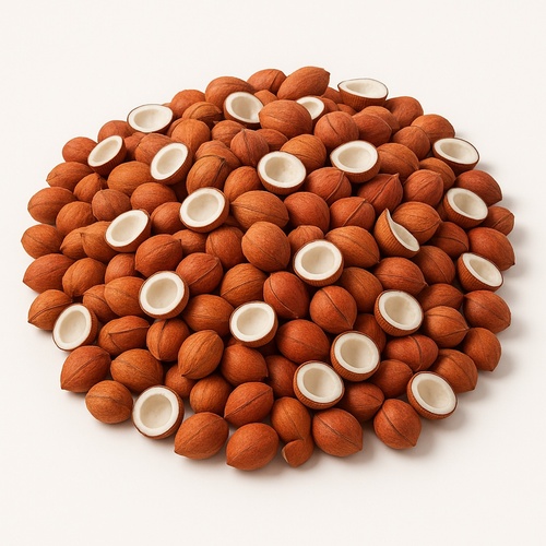 Dried Coconut Kernel