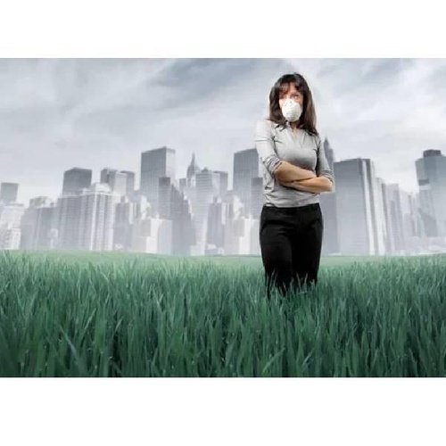 Environmental Impact Assessment Service