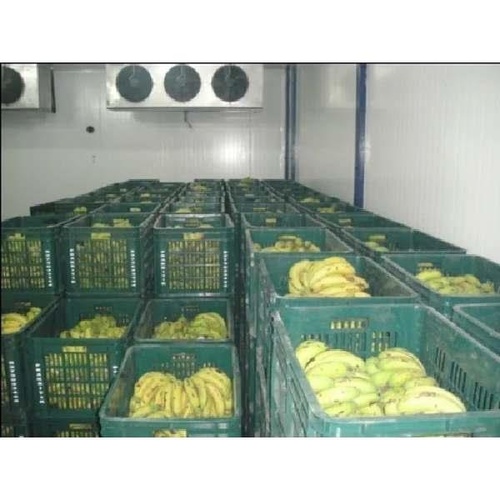Food Industry Banana Ripening Device
