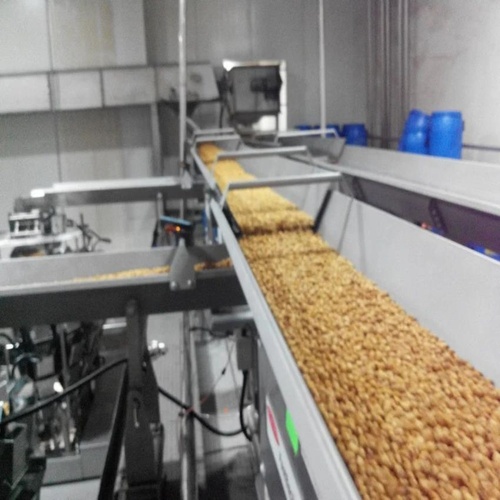 Food Processing Equipment (150 kg/hr)